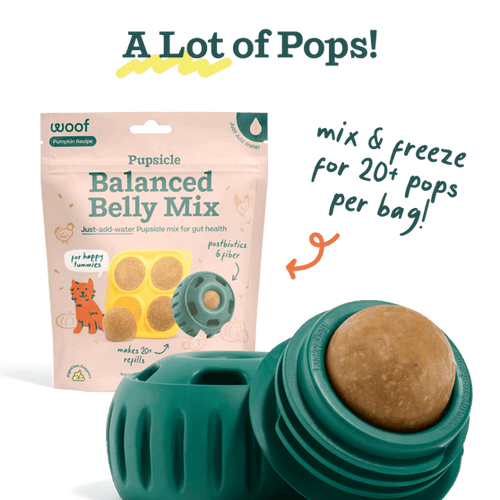 Woof Balanced Belly Pupsicle Mix