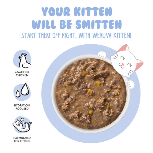 Weruva Kitten, Chicken & Pumpkin Formula in Gravy