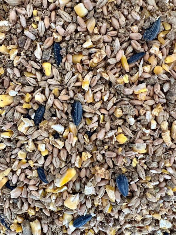 Mule City Natural Backyard Layer