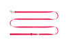 RC Pet Petite Primary Leash for Dogs