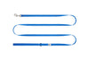 RC Pet Petite Primary Leash for Dogs
