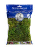 Super Moss Forest Moss Preserved