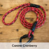 Mountain Dog Carabiner Leash