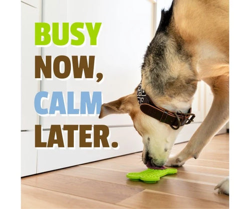 Pet Naturals BusyButter® Calm & Busy Pack