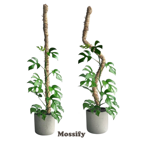 Mossify The Original Bendable Moss Pole™