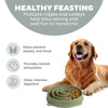 Outward Hound Fun Feeder Circle Sge LG