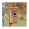 Audubon Coppertop Cedar Wood Bluebird House
