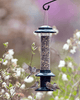 Brome Squirrel Buster Evolution