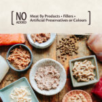Wellness CORE Tiny Tasters for Cats:  Smooth Pâté Duck Recipe