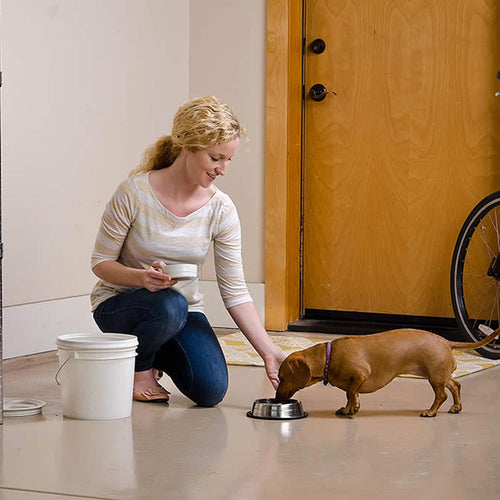 GAMMA2 VITTLES VAULT OUTBACK 8