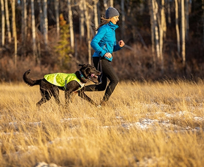 RC Pets LUNA HI VIS VEST