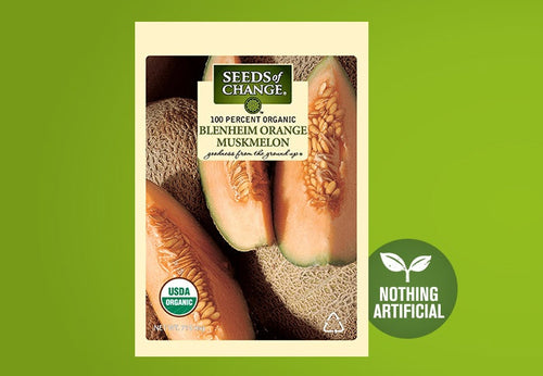 SEEDS OF CHANGE™ ORGANIC BLENHEIM ORANGE MUSKMELON SEEDS