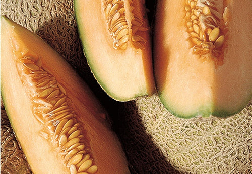 SEEDS OF CHANGE™ ORGANIC BLENHEIM ORANGE MUSKMELON SEEDS