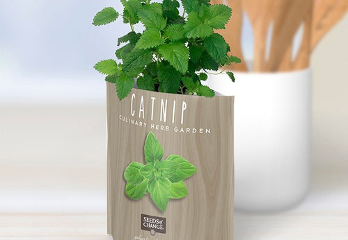 SEEDS OF CHANGE™ ORGANIC CATNIP GARDEN IN A POUCH