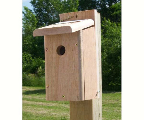 Songbird Essentials Chickadee House