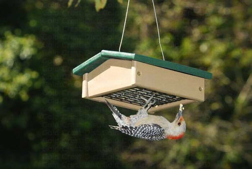 Songbird Essentials Small Upside Down Suet Feeder Hunter Driftwood