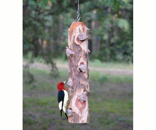 Songbird Essentials 6 Plug Suet Log Without Perches