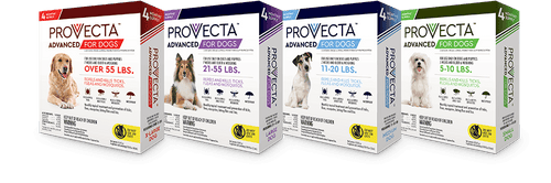 Provecta ADVANCED Flea & Tick Treatment for Dogs