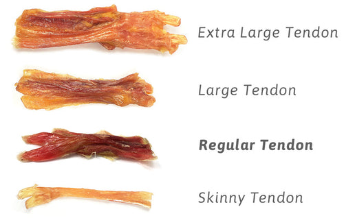 Tuesday's Natural Dog Company Regular Beef Tendons (Regular (Bulk))