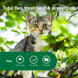 Advantage II Kitten Flea Treatment & Prevention (2 Monthly Doses)