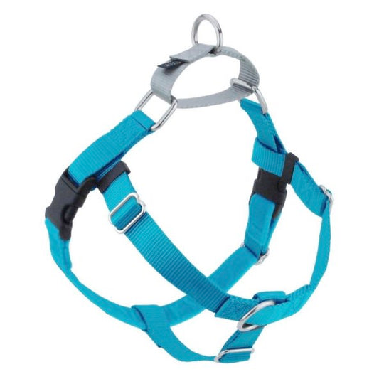 2 Hounds Design Turquoise Freedom No-Pull Dog Harness