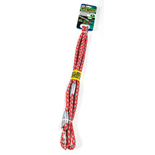 Four Paws® Nite Brite® Reflecting Leashes