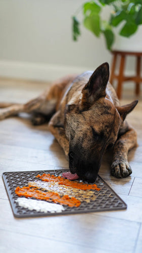 Messy Mutts Silicone Therapeutic Dog Licking Mat (12 x 12, Warm Grey)