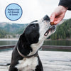 Natural Balance Mini Rewards Lamb Training Treats