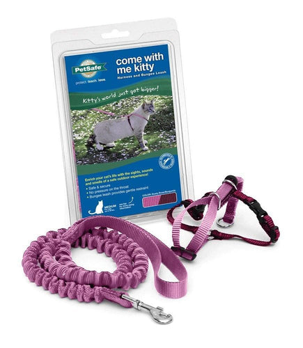 PetSafe Come with Me Kitty Dusty Rose & Burgundy Harness and Bungee Leash for Cats