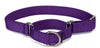 PetSafe Premier Martingale Deep Purple Pet Collar