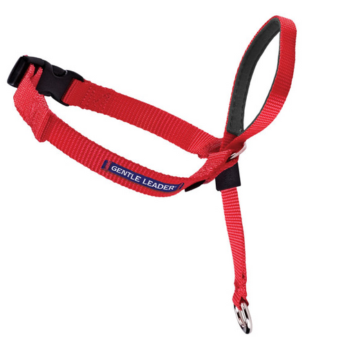 Petsafe Gentle Leader Quick Release Red Headcollar for Dogs Durham NC Barnes Supply Co