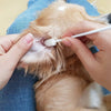 Pure and Natural Pet Canine Ear Cleansing System