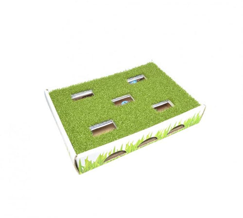 Petstages Grass Patch Hunting Box