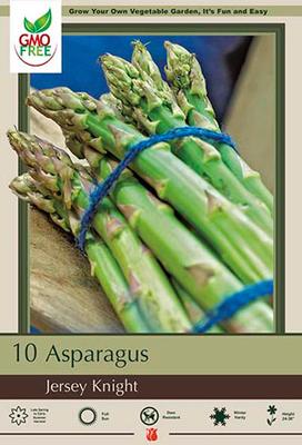 Netherland Bulb Company Asparagus officinalis 'Jersey Knight'