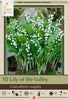 Netherland Bulb Company Lily of the Valley - 10 Bare Roots