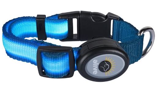 Elive LED Dog Collars