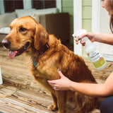 Wondercide Lemongrass Flea & Tick Spray for Pets + Home