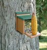 WoodLink Going Green Squirrel Munch Box