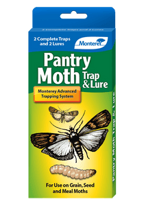 Moth trap - Ask an expert - Wildlife - The RSPB Community