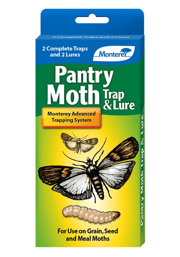 Monterey PANTRY MOTH TRAP & LURE