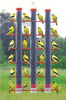 Songbird Essentials Finches Favorite, 3 Tube Feeder