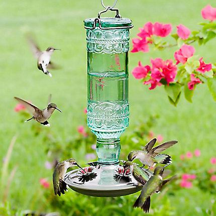 Perky-Pet® Green Antique Glass Bottle Hummingbird Feeder - 10 Oz Nectar Capacity