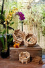 Better-Gro® Wooden Baskets