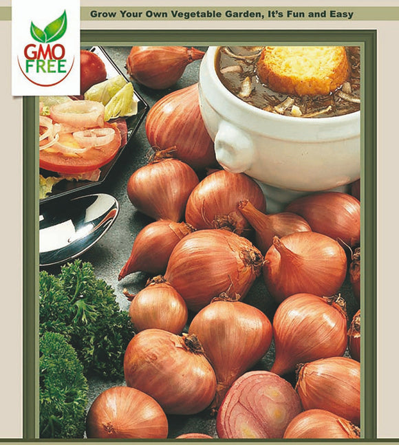 Hirt's Gardens Red Shallots - Preferred by Chefs - 15 Bulbs 9/15 cm