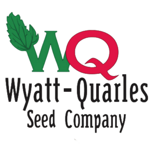 Wyatt-Quarles Seed Company Buttercrunch (1/2 oz)